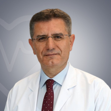 Dr Mehmet Guler