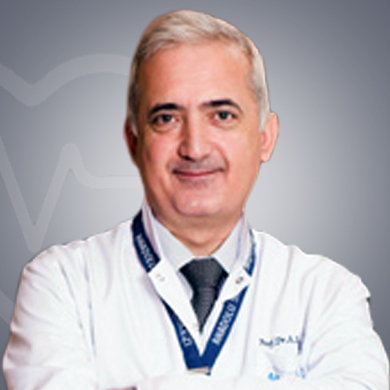 Dr Sertac Yetiser