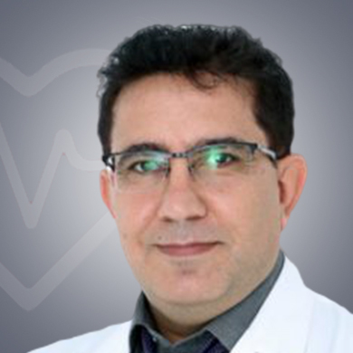 Dr. Saeid Taghizadeh: Best  in Dubai, United Arab Emirates