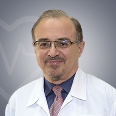 Dr. Seyed Hamid Sajjadi