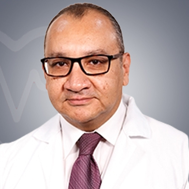 Mohamed Ahmed Helmy博士