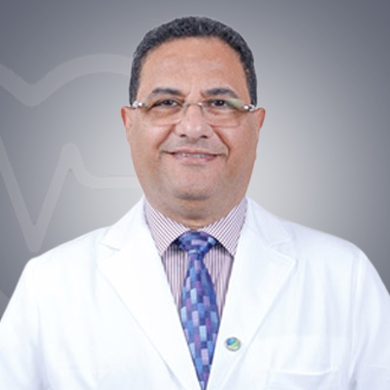 Medhat Faris 博士：阿拉伯联合酋长国沙迦最好的