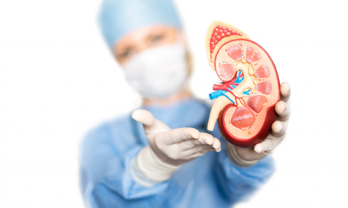 Package for Kidney Transplant Surgery