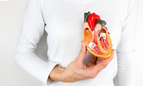Médecins proposant un pontage aortocoronarien (CABG)